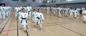 Stage international d'été 2025 Yubukan Shorei-kan